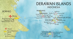 Дайв-сайты вокруг архипелага Берау (Berau). | Дайвинг сафари в Индонезии.