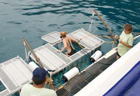 Кейдж-дайвинг с большими белыми акулами на яхте Baja Aggressor