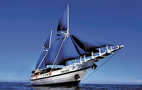 Дайвинг на островах Чуук (Трук): дайв-сафари на яхте Truk Siren