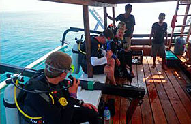 Ежедневно организуются два или три дейли-дайв-тура на дайв-сайты вокруг островов Гили
