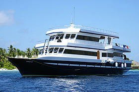 Дайвинг-сафари на Мальдивах на яхте Sting Ray
