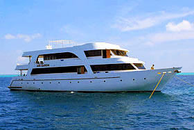 Дайв-сафари на Мальдивах на яхте Ari Queen