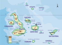 Карта Галапагосских островов. Сафари по центральной части Галапагосских островов.