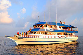 Яхта Carina, дайвинг на Мальдивах