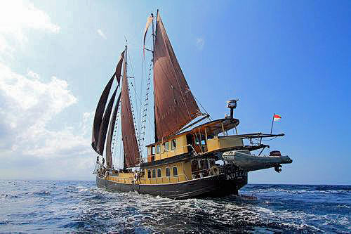 Яхта Adelaar. Дайвинг сафари в Индонезии.