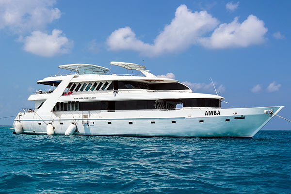 Яхта Amba, дайвинг на Мальдивах
