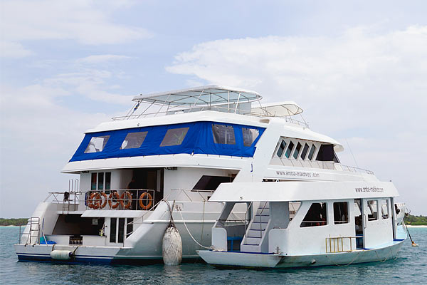 Яхта Amba, дайвинг на Мальдивах