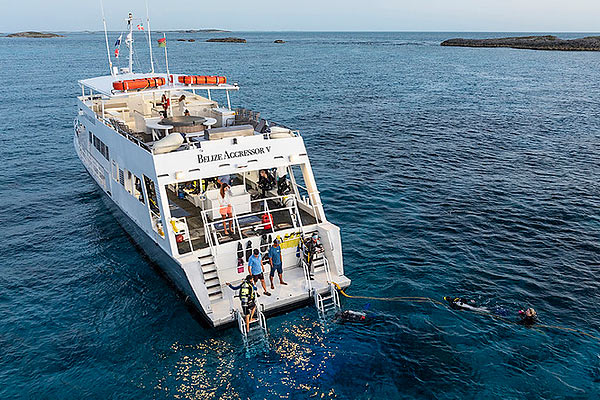 Яхта Belize Aggressor V, дайвинг-сафари в Белизе