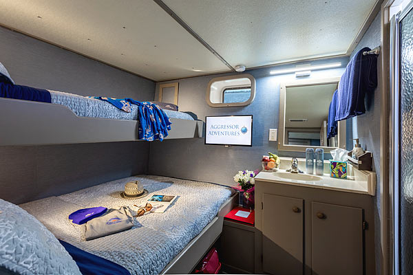 Каюта Deluxe на яхте Belize Aggressor V