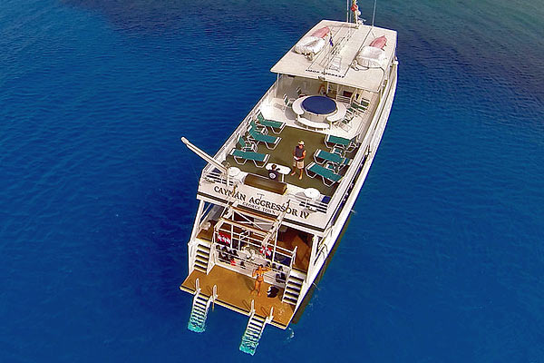 Дайв-сафари на яхте Cayman Aggressor IV
