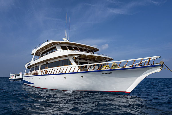 Яхта Conte Max, дайвинг на Мальдивах
