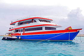 Дайв-сафари на Мальдивах на яхте Eagle Ray