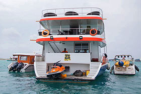 Дайв-сафари на Мальдивах на яхте Eagle Ray