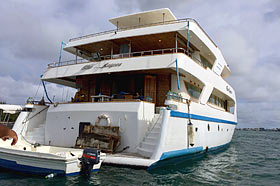 Дайвинг-туры на Мальдивах на яхте Fun Azul III