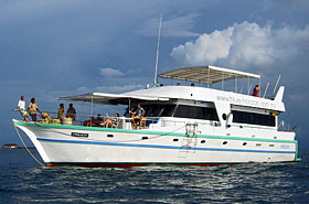 Дайв-сафари на Мальдивах на яхте Horizon II