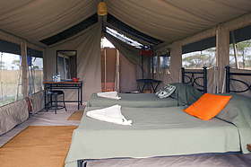 Отель Serengeti Kati Kati Camp