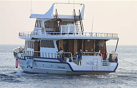 Дайв-сафари на Мальдивах на яхте Maavahi