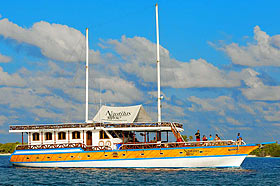 Дайвинг-сафари на Мальдивах на яхте Nautilus One