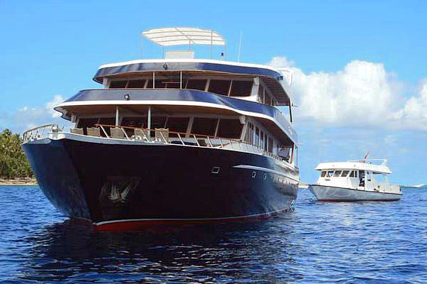 Дайв-сафари на Мальдивах на яхте Ocean Divine