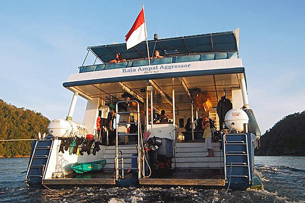 Дайвинг в Индонезии. Дайв-сафари на яхте Raja Ampat Aggressor