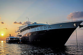 Яхта Scubaspa Ying, дайвинг на Мальдивах