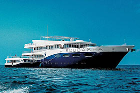 Яхта Scubaspa Yang, дайвинг на Мальдивах