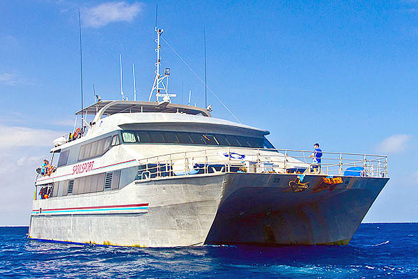 Дайвинг-сафари в Австралии, яхта Spoil Sport