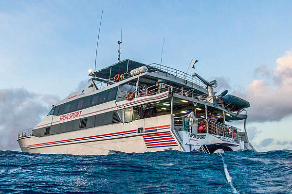Дайвинг-сафари в Австралии, яхта Spoil Sport