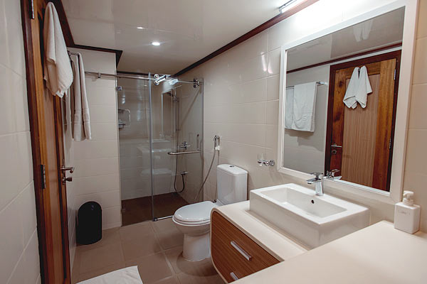 Яхта Adora: санузел с душем в каюте.