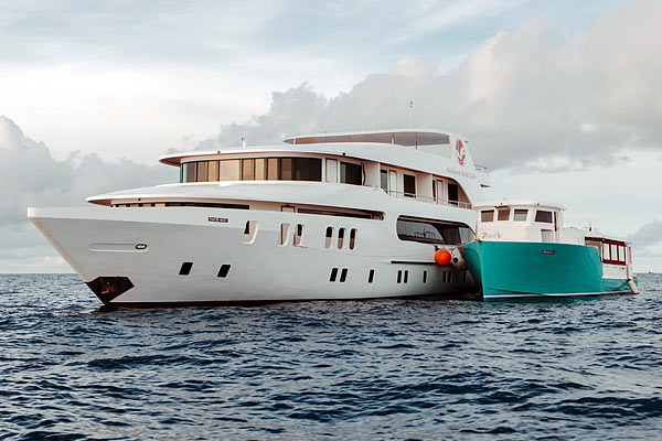 Дайвинг сафари на Мальдивах на яхте Adora.