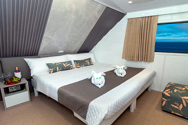 Яхта Galaxy Diver III: каюта Double