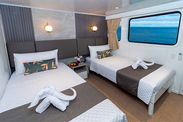 Яхта Galaxy Diver III: каюта Twin