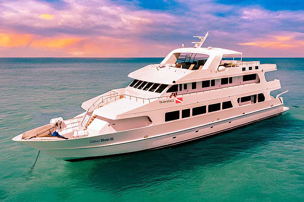 Яхта Galaxy Diver III. Дайвинг на Галапагосских островах