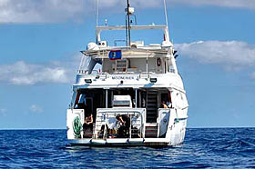 Дайв-платформа на яхте Moondiver Explorer. Дайв-сафари в Мексике.