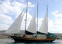 Дайвинг-сафари в Джибути на яхте Boreas of Katharina.