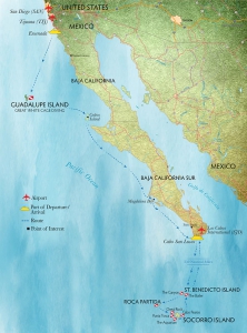 Дайвинг в Мексике, карта: острова Сокорро и Гуадалупе.