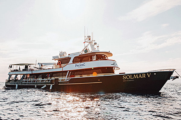 Дайвинг-сафари в Мексике на яхте Solmar V